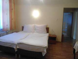 Отель Hotel Pod Platanami Тшебница Двухместный номер с 1 кроватью или 2 отдельными кроватями-5